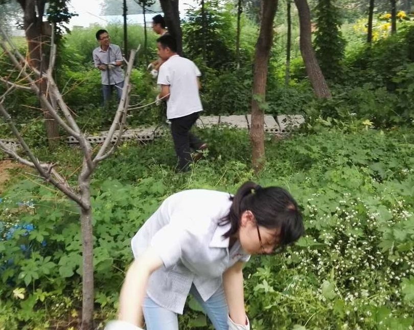 黃臺拔草活動(dòng)