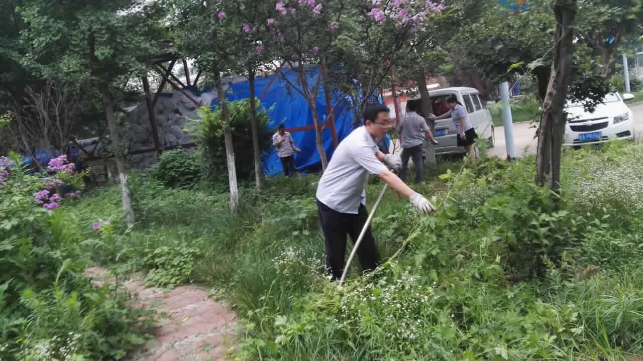 黃臺煤氣爐拔草